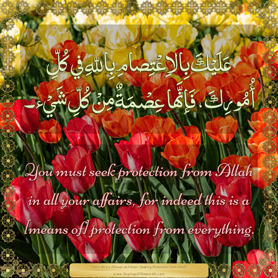 You must seek protection from Allah in all your affairs, for indeed this...